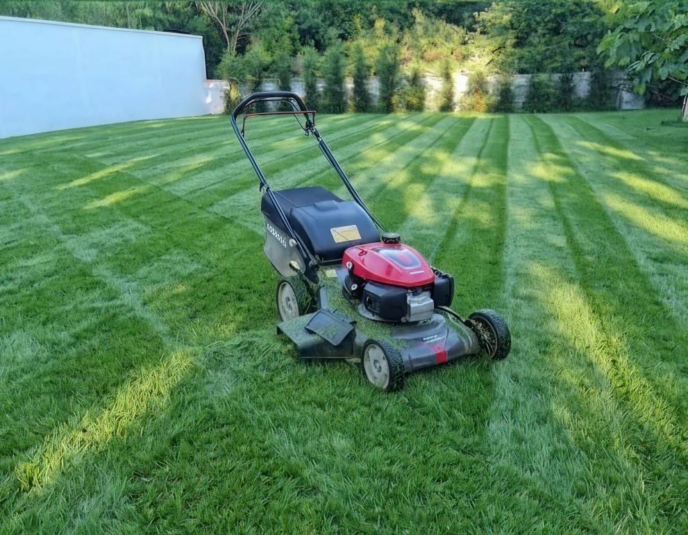 Réalisation de jardin par Alexandre Services